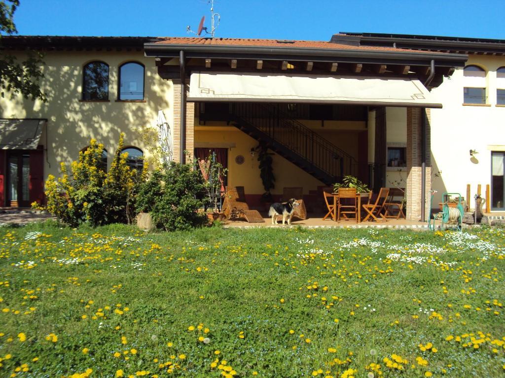 Agriturismo Ca' Del Ferro Zevio Zewnętrze zdjęcie