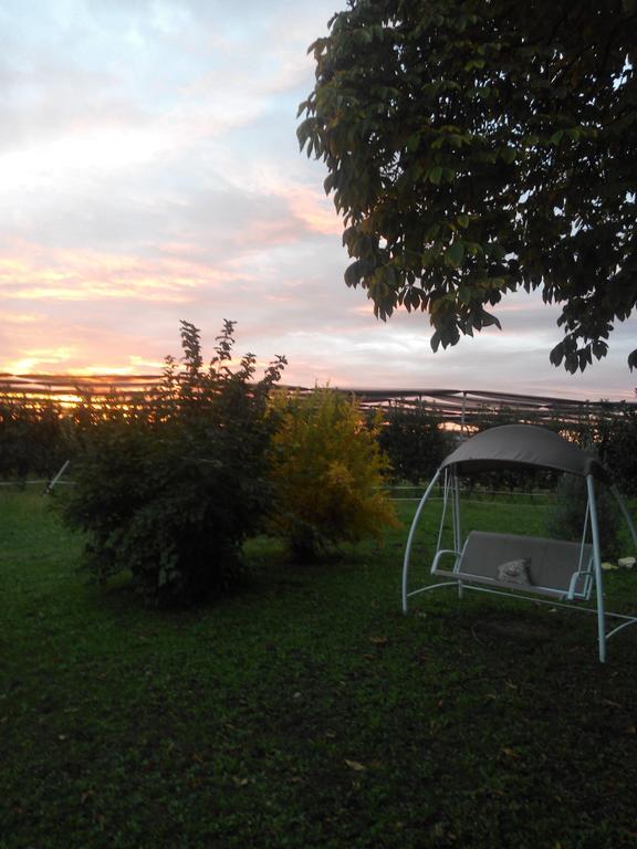 Agriturismo Ca' Del Ferro Zevio Zewnętrze zdjęcie