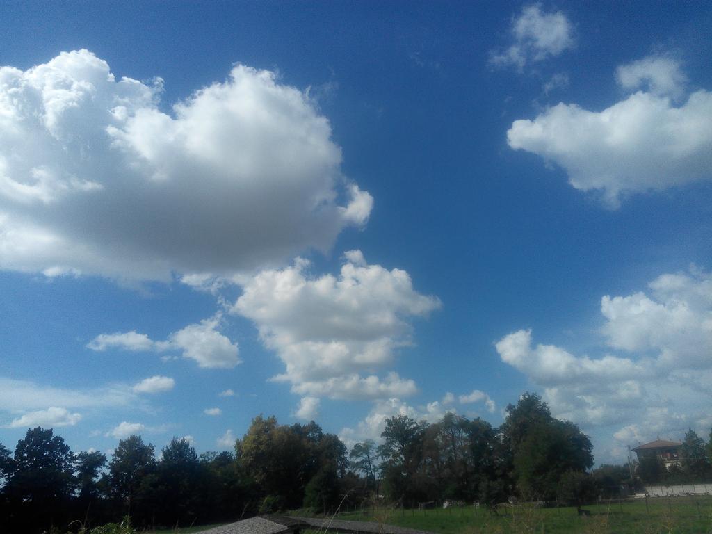 Agriturismo Ca' Del Ferro Zevio Zewnętrze zdjęcie