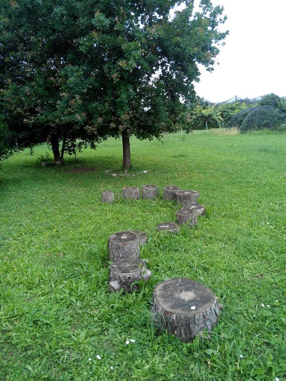 Agriturismo Ca' Del Ferro Zevio Zewnętrze zdjęcie