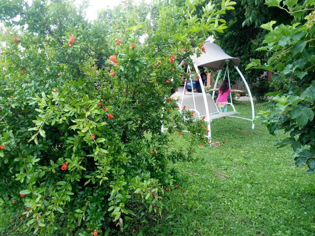 Agriturismo Ca' Del Ferro Zevio Zewnętrze zdjęcie